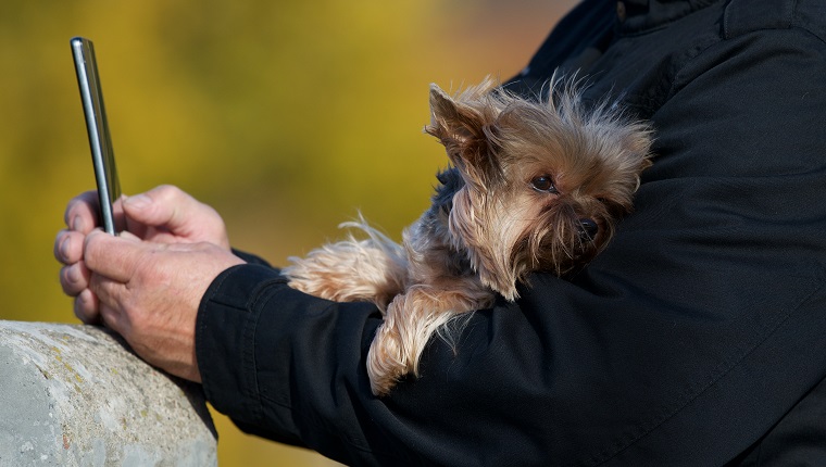 Man taking a selfie with his Yorkshire terrier dog