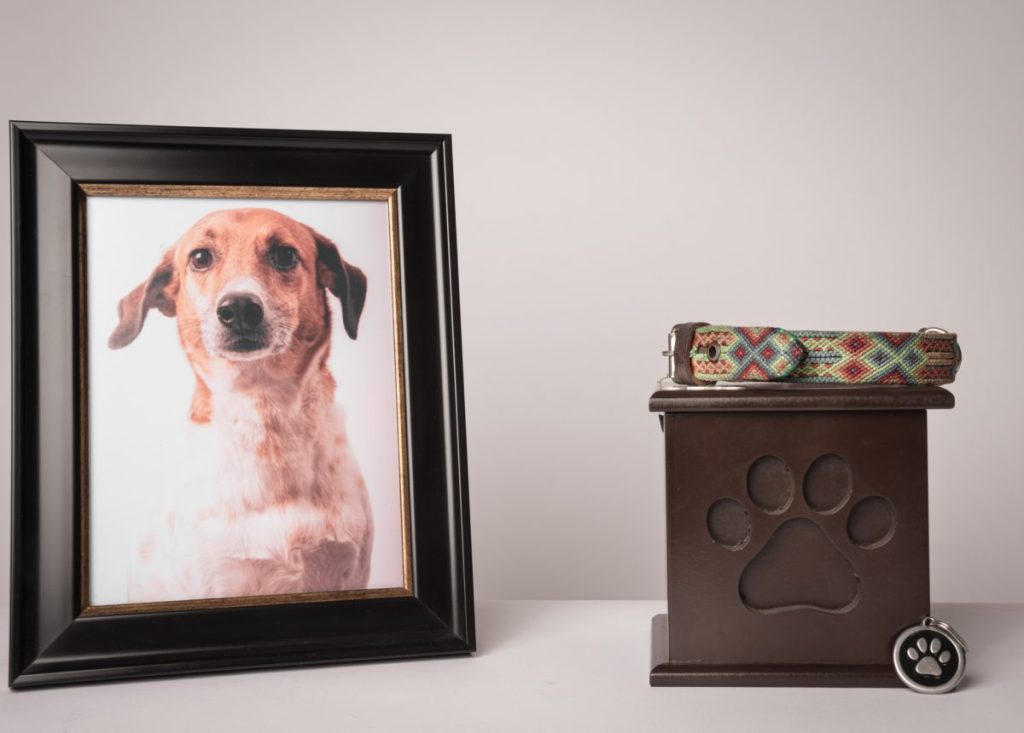 Photo and urn at memorial service for dog