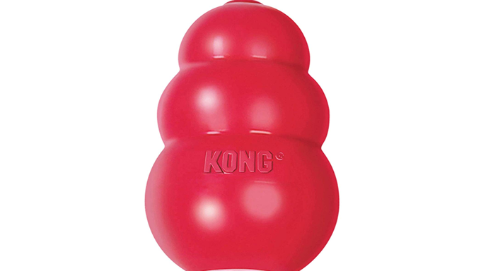 kong toy