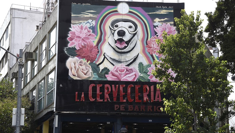  VIew of a large mural paint (R) in honor to Frida, the Mexican Navy's rescue dog in Mexico City on October 10, 2017, three weeks after the earthquake that killed more than 300 people. / AFP PHOTO / ALFREDO ESTRELLA 