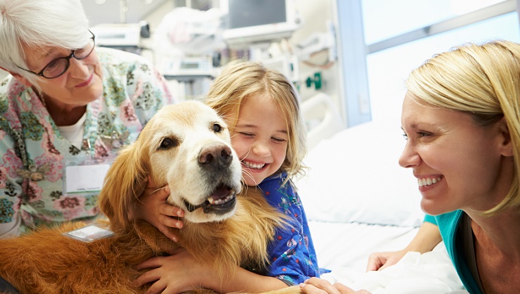 Young Girl Being Visited In Hospital By Therapy Dog