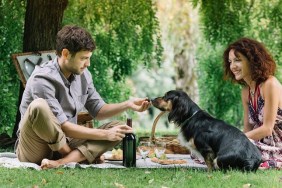 Italy, Veneto, Belluno, Caucasian Couple on a Picnic