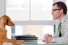 Businessman at a desk with his dog