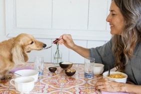 Woman feeding her dog breakfast from the table like a baby