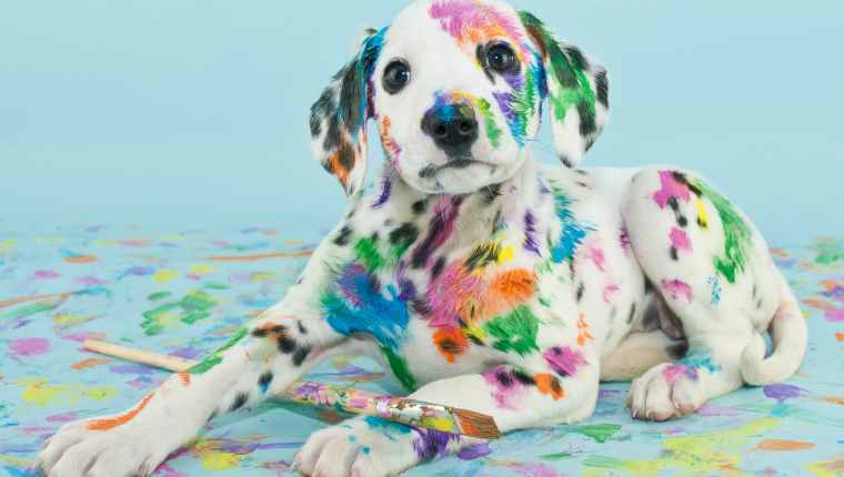 Dog Painting