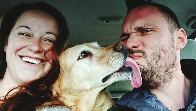 Portrait Of Man And Woman With Dog In Car