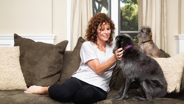 Pet sitter or dog owner on a couch in an upscale home giving attention to two dogs looking at her