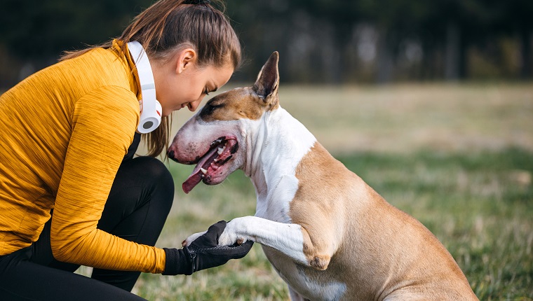 Woman doing exercises outdoors with her dog