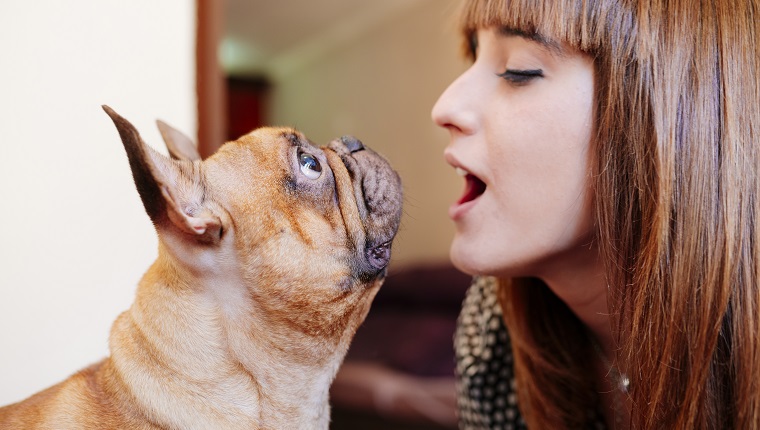 Young woman teaching her French bulldog