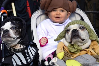 Dogs and baby dressed as characters from "Star Wars" attend the 23rd Annual Tompkins Square Halloween Dog Parade on October 26, 2013 in New York City. Thousands of spectators gather in Tompkins Square Park to watch hundreds of masquerading dogs in the countrys largest Halloween Dog Parade. AFP PHOTO / TIMOTHY CLARY