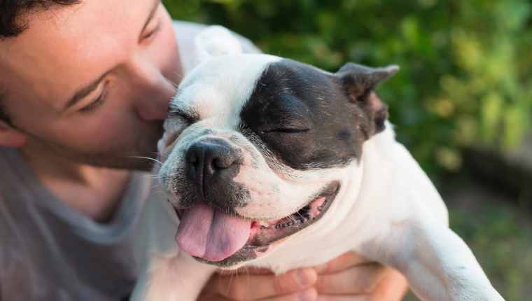 Dog Kissing 2