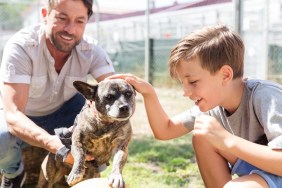 Dad and his son taking care of abandoned dog in animal shelter playing with him