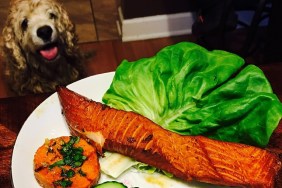 High Angle View Of Salmon In Plate On Table By Dog