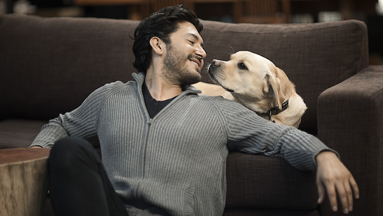 Dog and man on couch