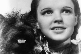 Judy Garland holding her dog Toto in a scene from the film 'The Wizard Of Oz', 1939. (Photo by Metro-Goldwyn-Mayer/Getty Images)