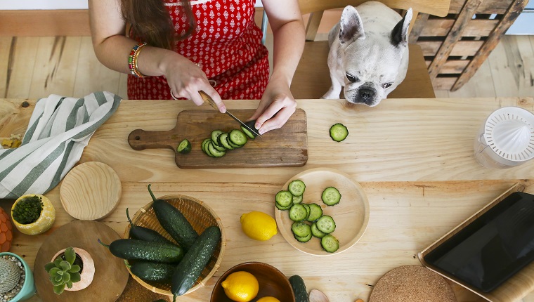 French bulldog watching woman cutting cucumber on table