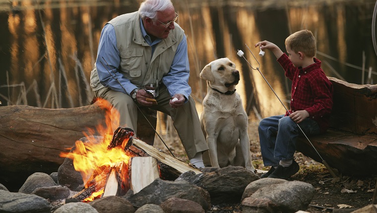 Grandfather And Grandson Roast Marshmallows On The Beach