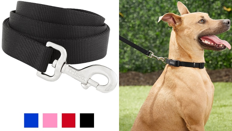 dog leash