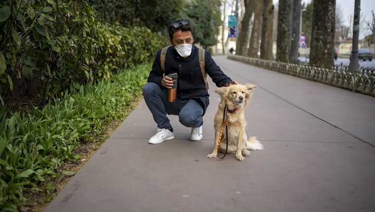 Taking the dog for a walk in the city