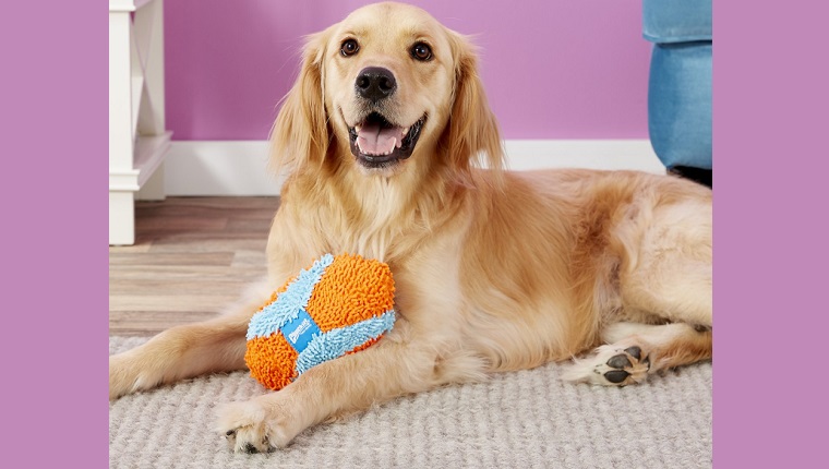 chuckit dog toy