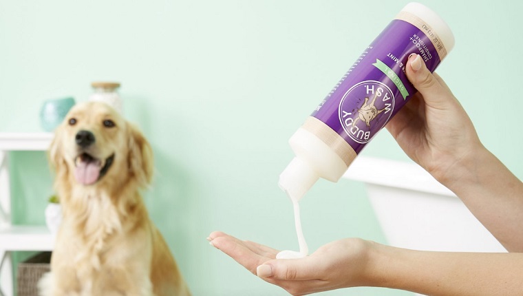 dog shampoo