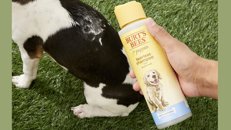 dog shampoo