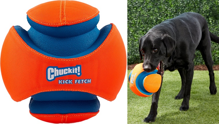 Kick Fetch Ball