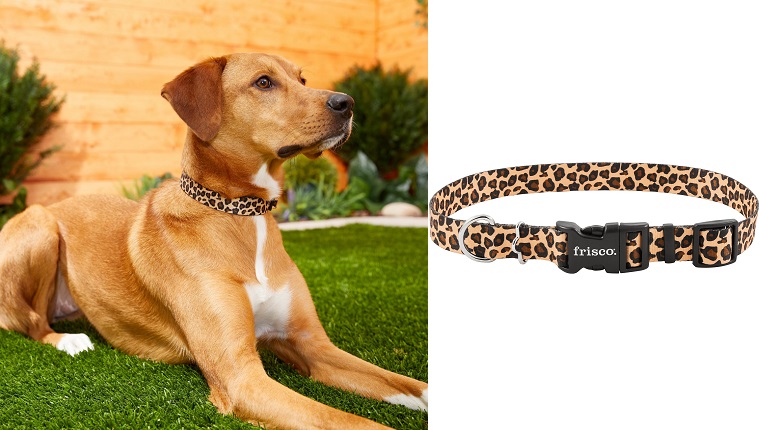 Leopard Print Dog Collar