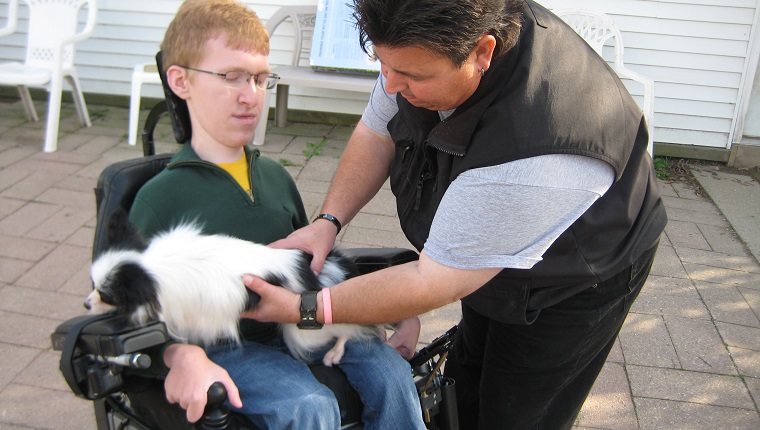 Trainer working with Kevin and Piper