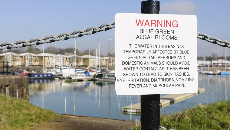 Sign at Preston Marina warning the public about the dangers of Blue-Green algae