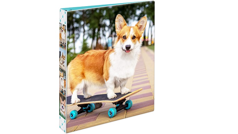 dog binder