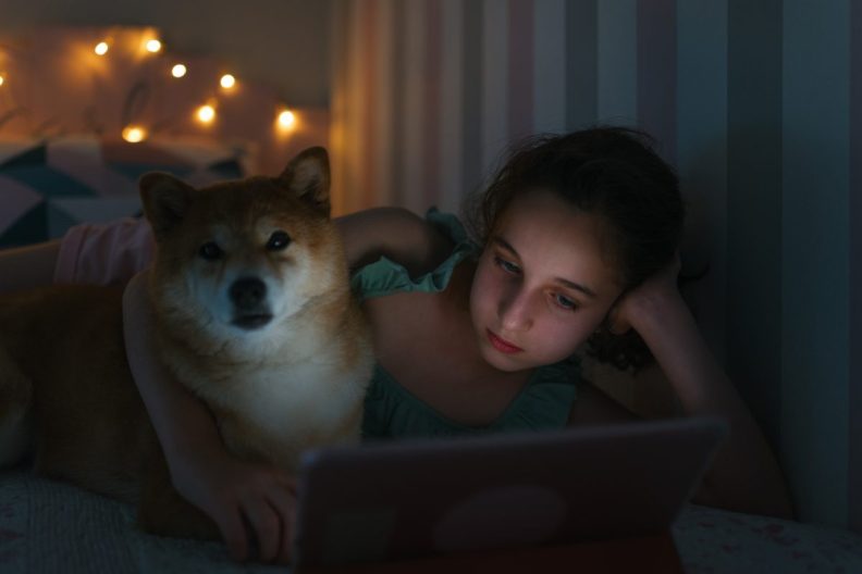 Close up view of a girl lying on her bed watching a sad dog movie next to her Shiba Inu on her digital tablet inside the bedroom.