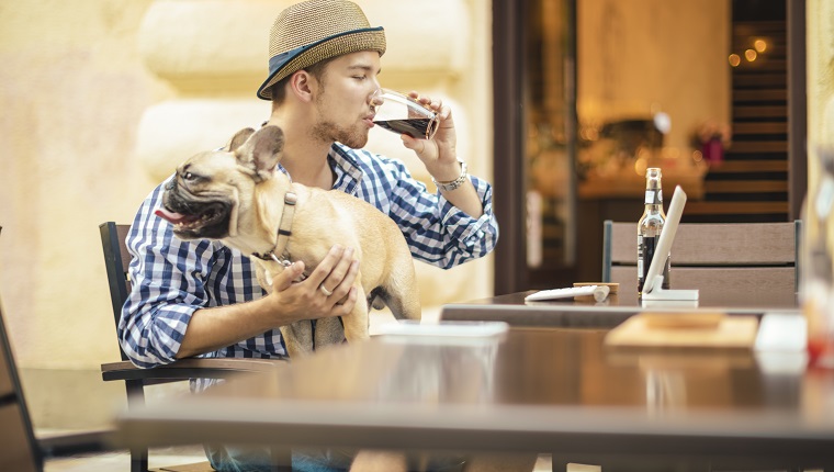 Young man in the city with his french bulldog