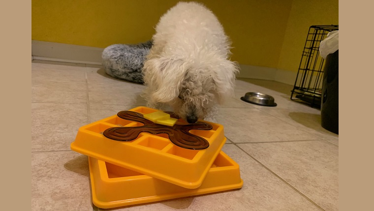 leia with her puzzle toy