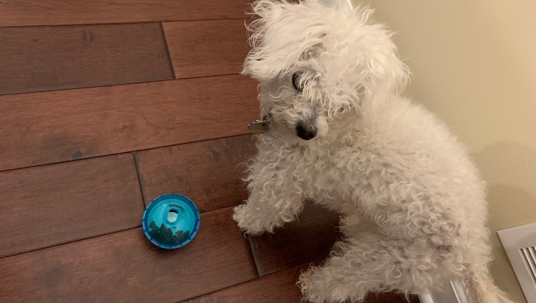 leia with her ball