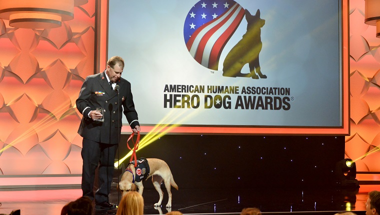 BEVERLY HILLS, CA - SEPTEMBER 19: Glory; Arson Dog Category Winner, and Keith Lynn onstage at the American Humane Association's 5th Annual Hero Dog Awards 2015 at The Beverly Hilton Hotel on September 19, 2015 in Beverly Hills, California.