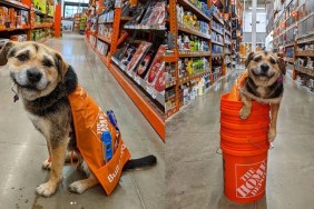 Heaven in Home Depot apron