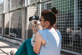 woman meeting a small shelter dog, both are sitting in front of kennels