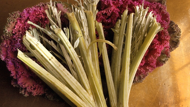 Staff Photo by John Ewing, Tuesday, December 14, 2004: Several stalks of cardoon, a vegetable similar to artichokes, lay atop heads of oriental flowering kale at the Fore Street Restaurant in Portland.