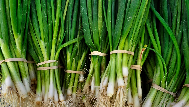 Close-Up Of Green Onions