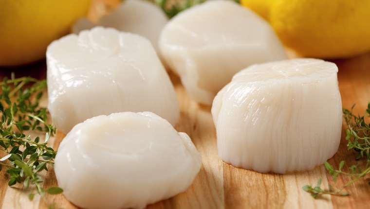 Fresh Sea Scallops