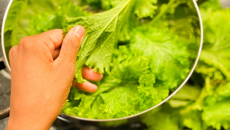 fresh organic curly mustard greens on counter