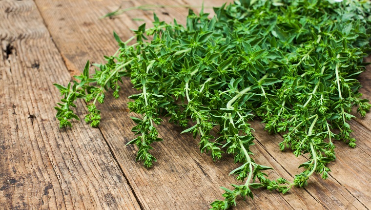 bunch of oregano on a wooden background