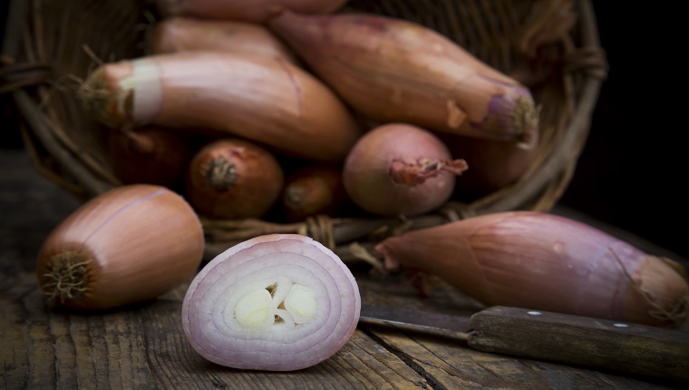 Deutschland, Studio, Französische Bananen-Schalotten aus der Bretagne (Allium ascalonicum )