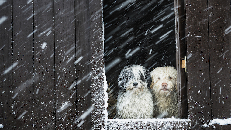 colder temps diabetes