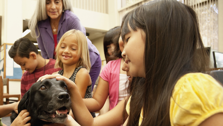 dogs lower stress in children