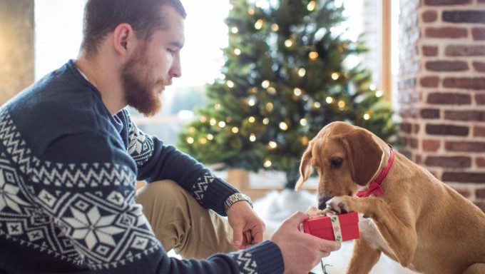 pet parents holiday shopping