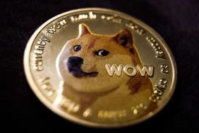 dogecoin shiba inu