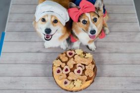 Barkcuterie