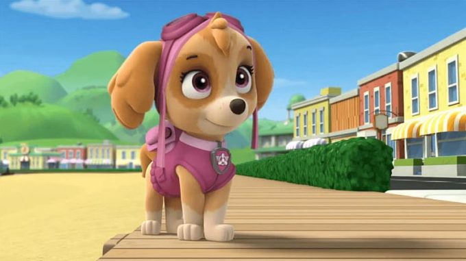 dog breeds of the paw patrol characters